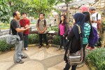 galih sedayu
