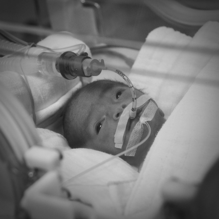 eufrasia tara sedayu