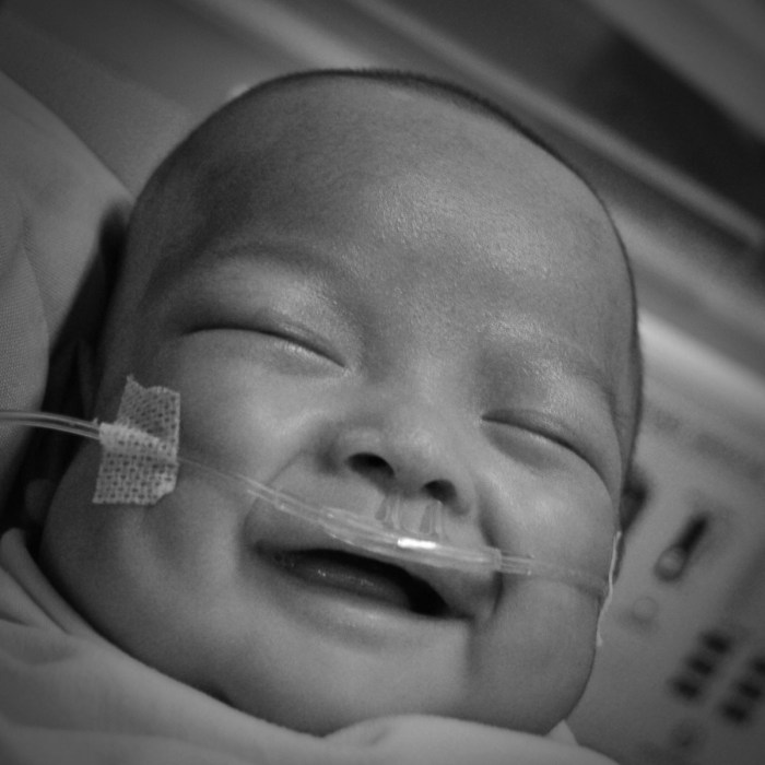 eufrasia tara sedayu