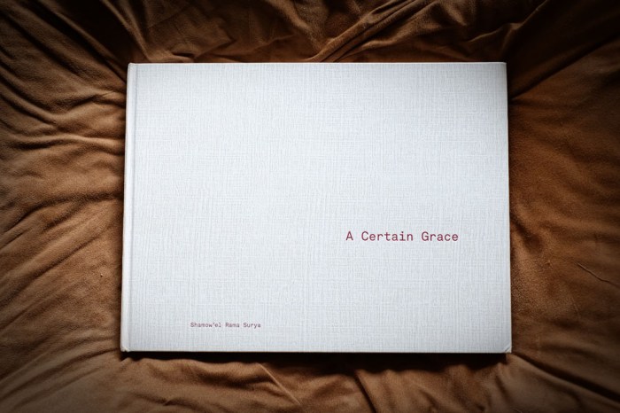 a certain grace_rama surya_blog