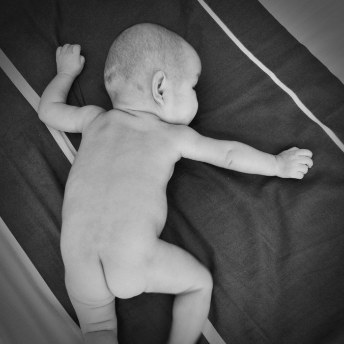 eufrasia tara sedayu