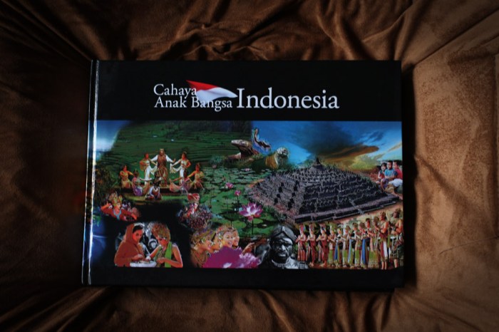 cahaya anak bangsa indonesia