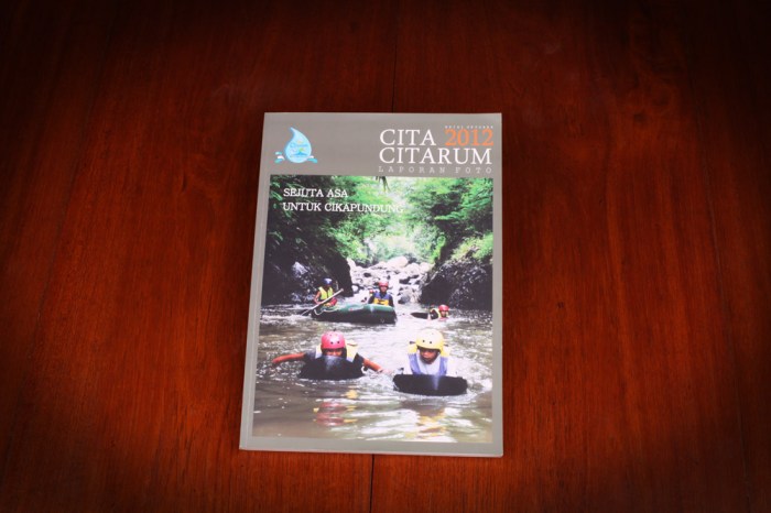 cita citarum