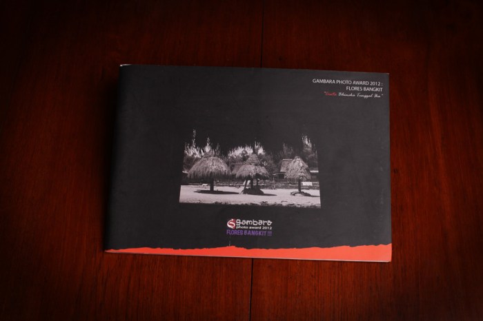 gambara photo awards 2012