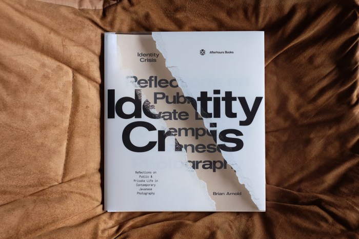 identity crisis_brian arnold