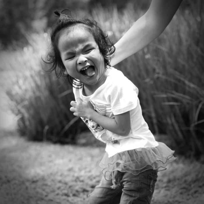 eufrasia tara sedayu