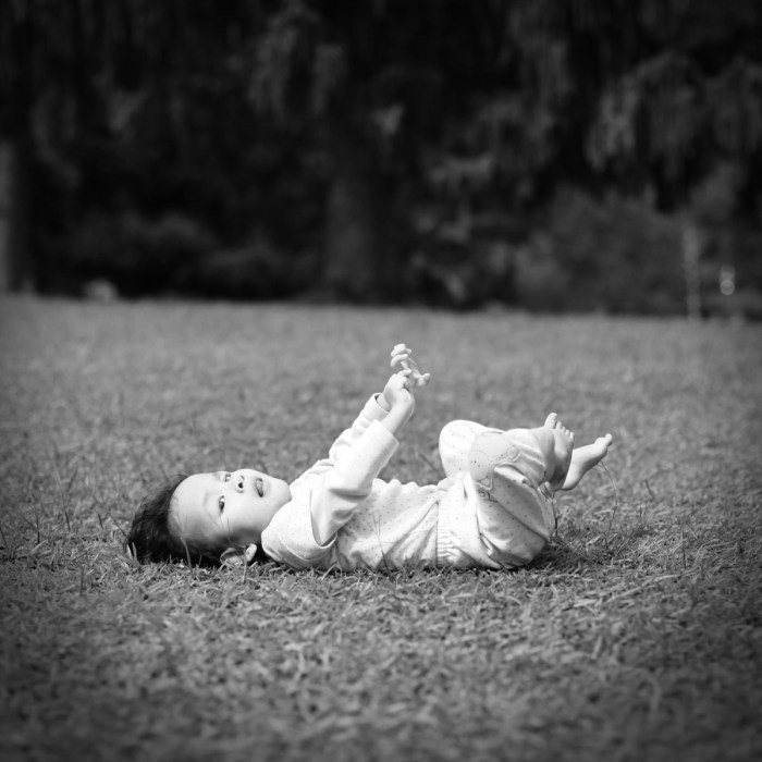 eufrasia tara sedayu