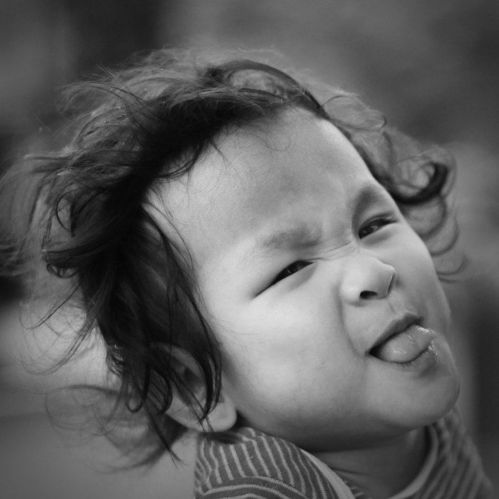 eufrasia tara sedayu