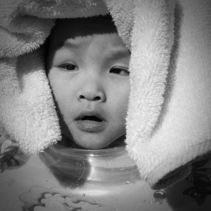 eufrasia tara sedayu