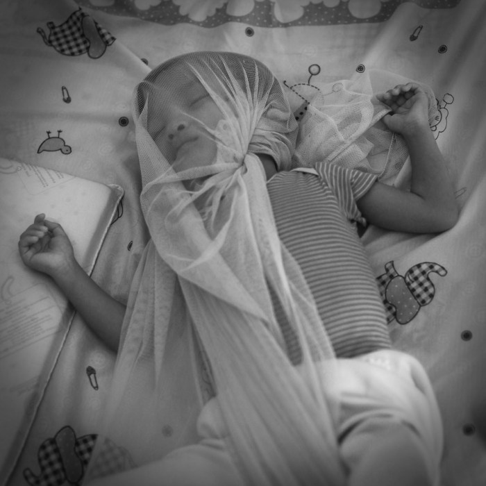 eufrasia tara sedayu