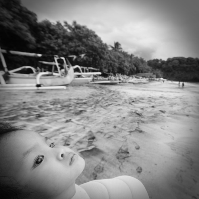 eufrasia tara sedayu