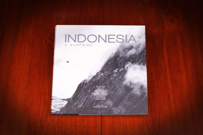 indonesia a surprise