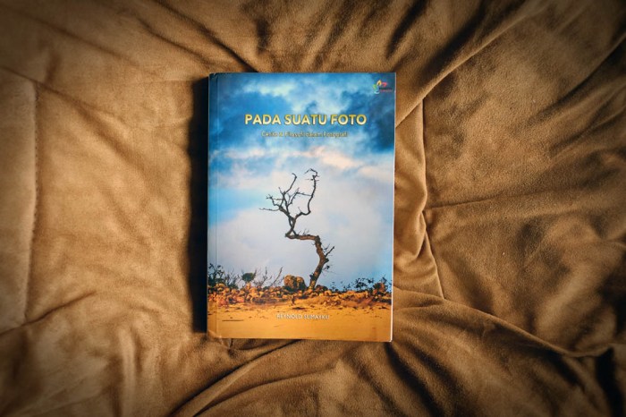 pada-suatu-foto