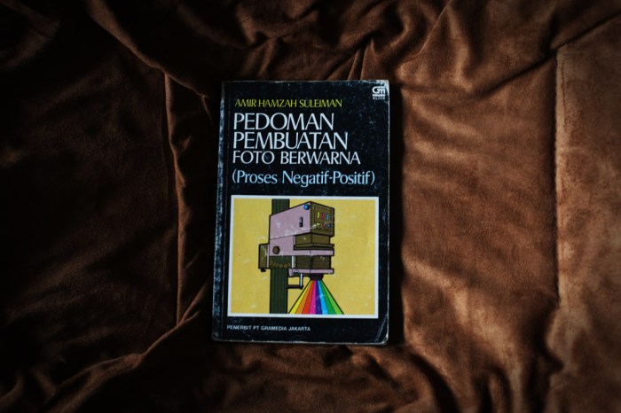 pembuatan foto berwarna