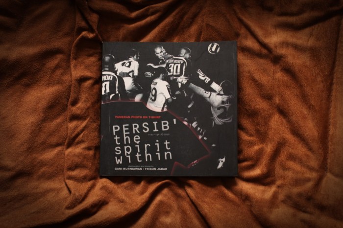 persib the spirit within