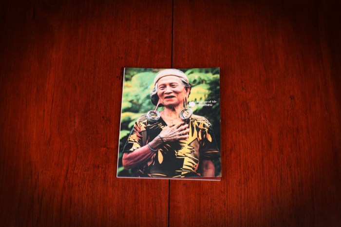 rainbow of life | borneo