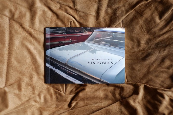 sixtysixx_homer-harianja