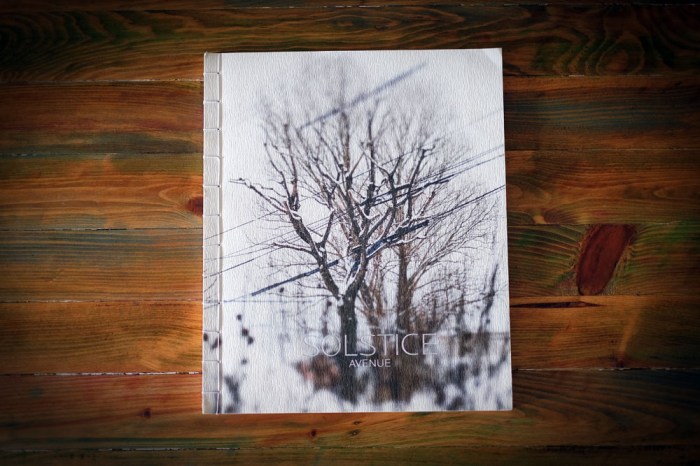 solstice avenue_oscar motuloh_blog