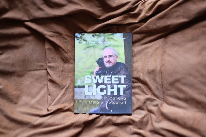 sweet love_stefano romano