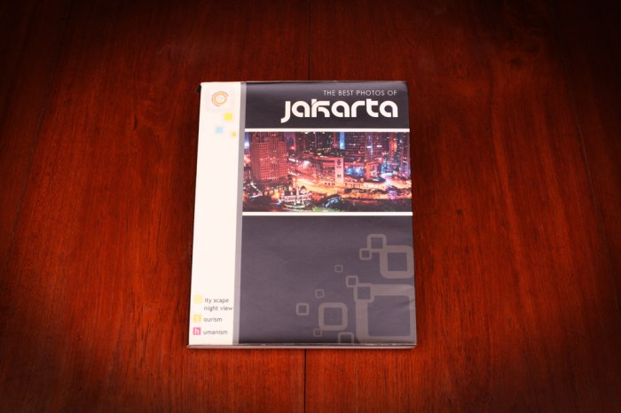 the best photos of jakarta