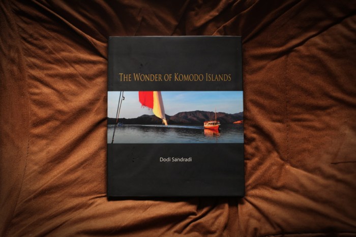 the wonder of komodo islands