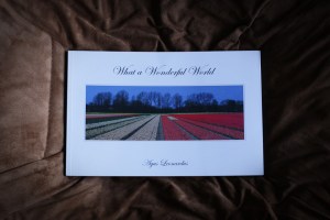 what a wonderful world_agus leonardus