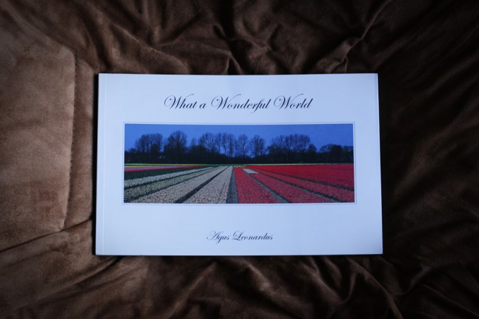 what a wonderful world_agus leonardus