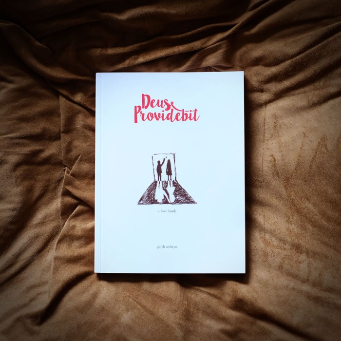 deus-providebit_square_blog