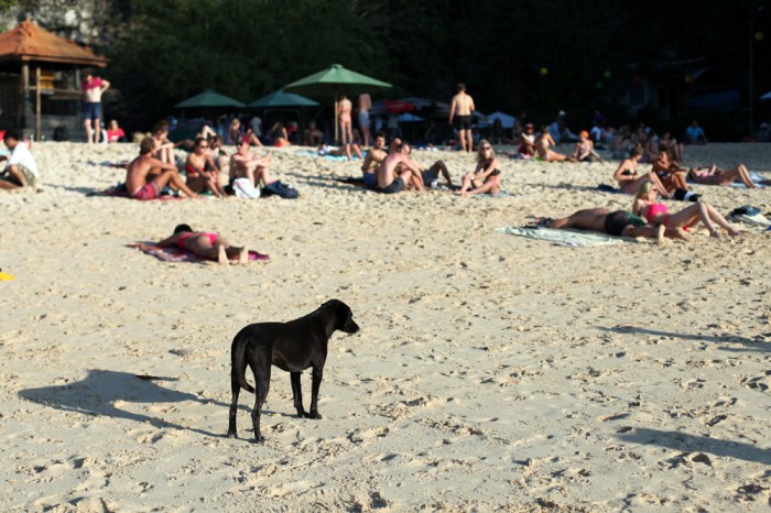 Pantai Padang Padang Bali