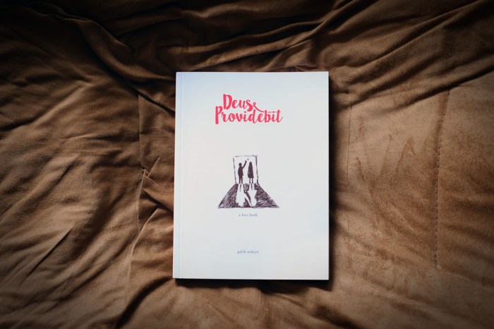 deus providebit_blog